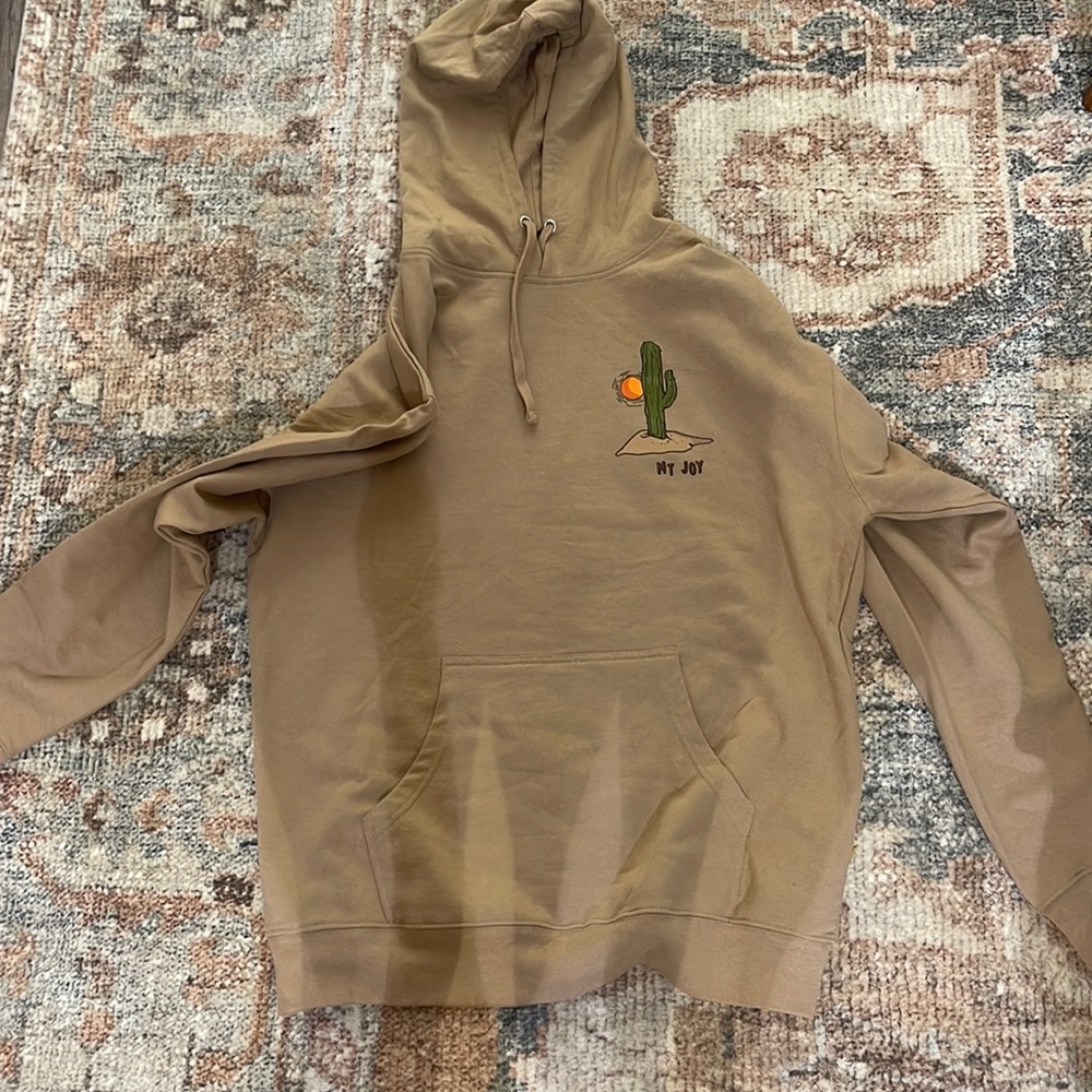 BRAND NEW Mt Joy sweatshirt from Concert. Accidentally bought 2. Size XL. Hoodie